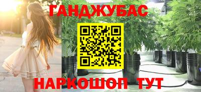 прущая мука Гатчина