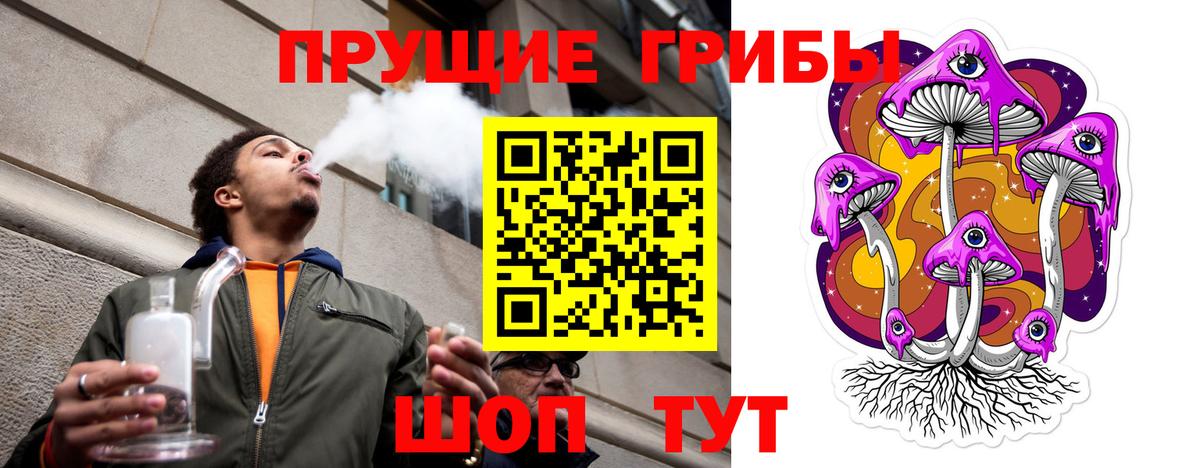 Моздок  Галлюциногенные грибы прущие грибы  Вход с VPN  Псилоцибиновые грибы Psilocybine cubensis 